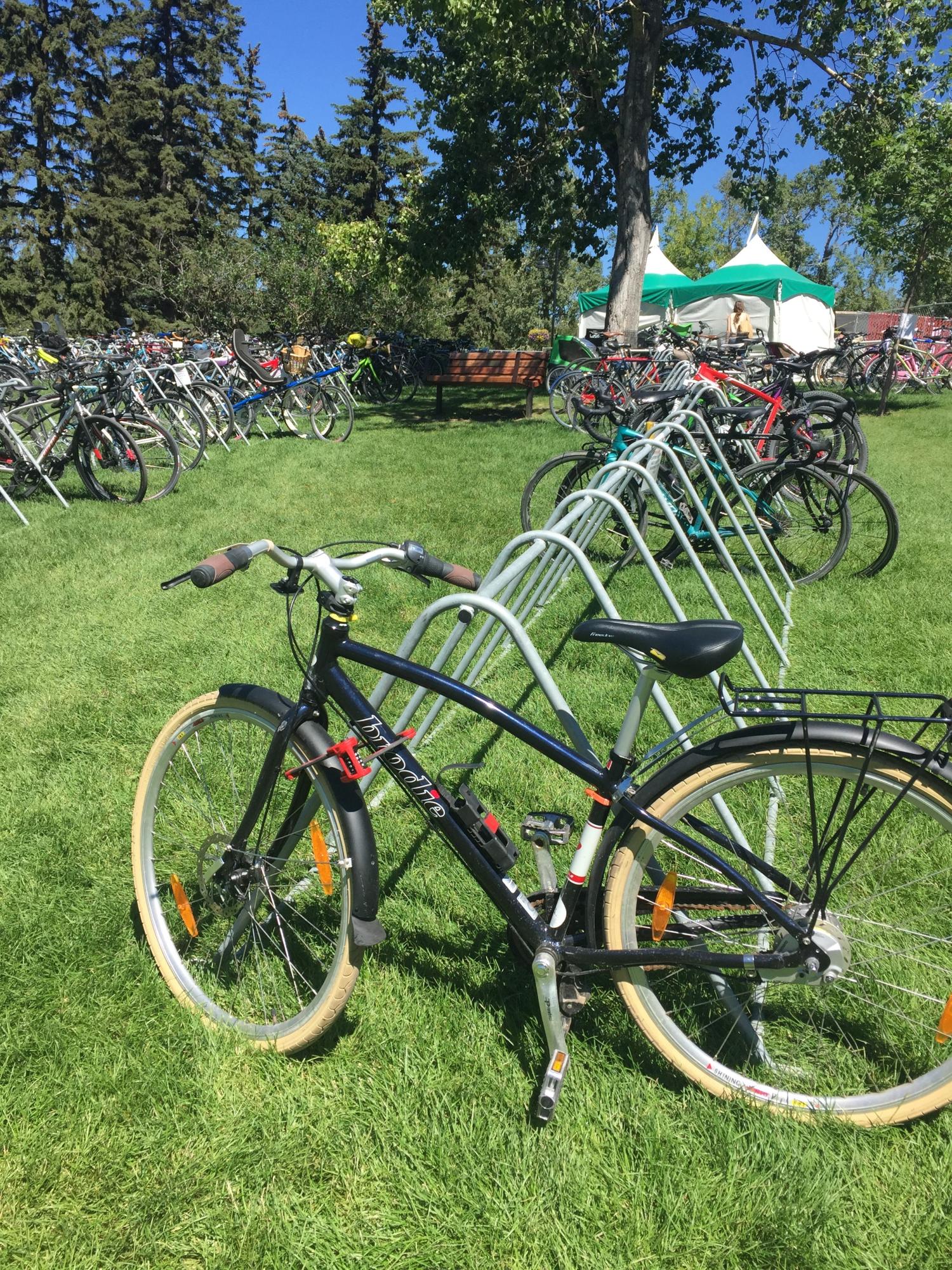 2012 Brodie Section 8 Blue