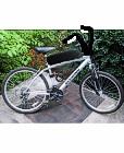 Schwinn Skyliner Silver, gray or bare metal