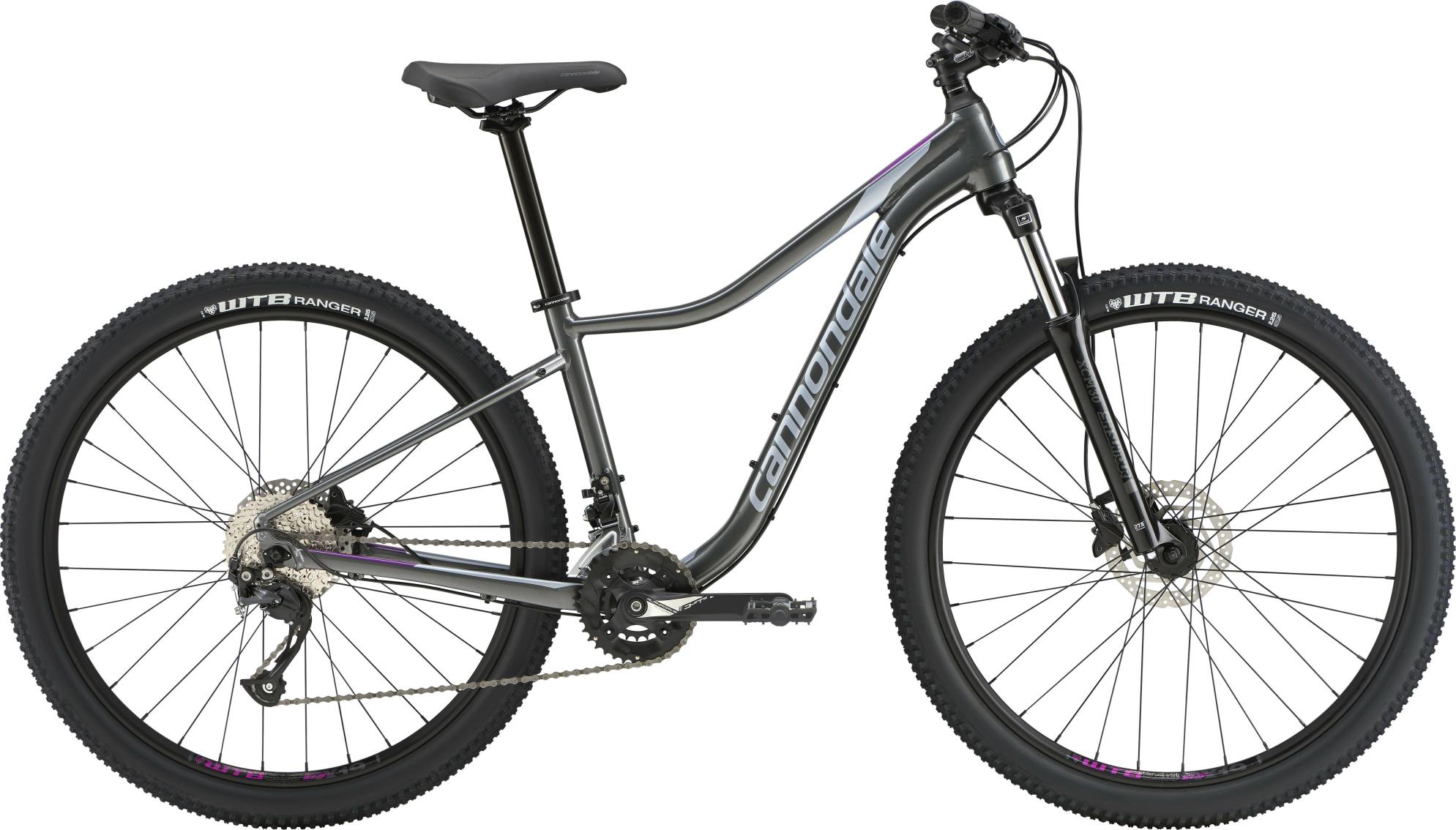 2022 Cannondale Tango 4 Silver, gray or bare metal and White