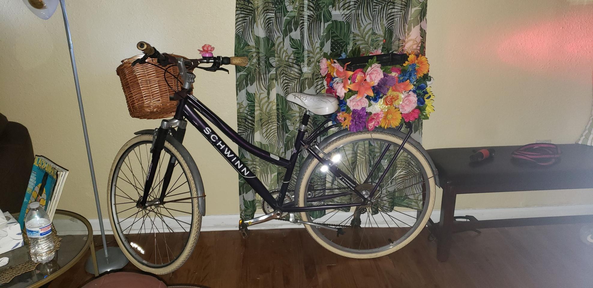 Schwinn Cruiser Ss Purple