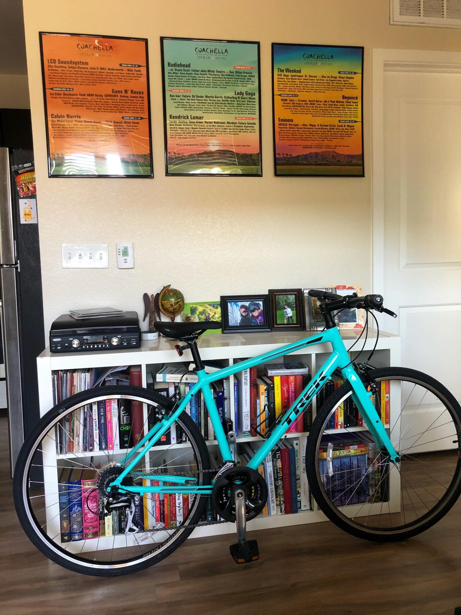 2019 Trek FX2 Teal