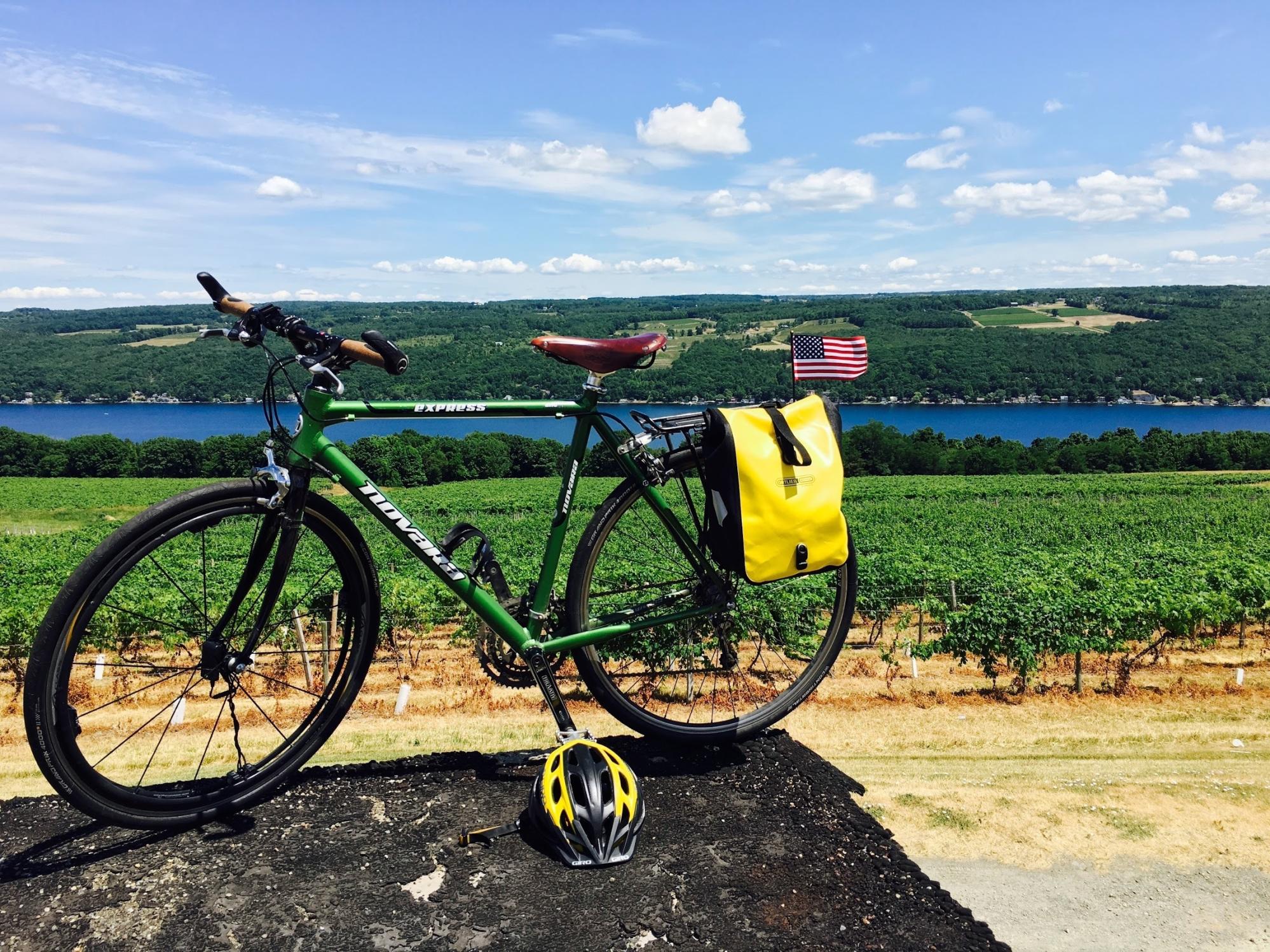 2011 Novara Express Green