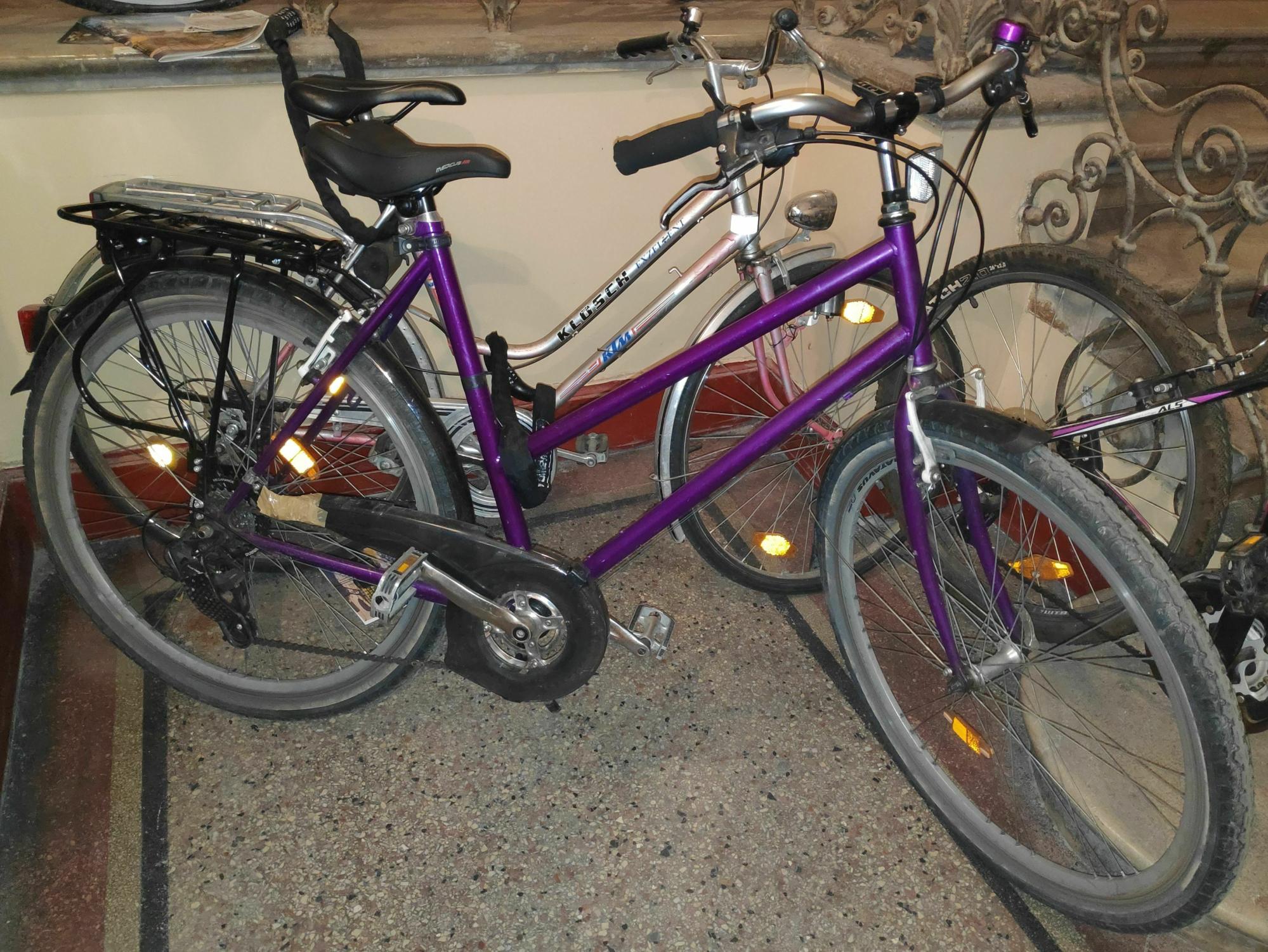 Batavus Sprint Purple