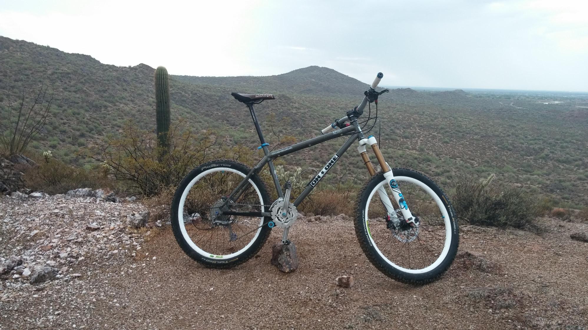 2009 On-One Inbred 456 Summer Season Silver or Gray