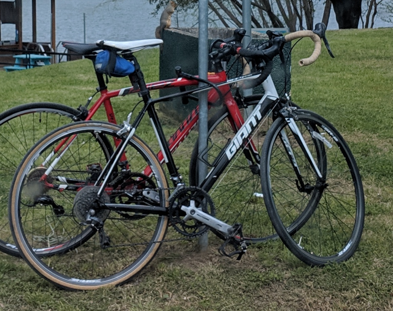 2015 Giant Defy Aluxx Black