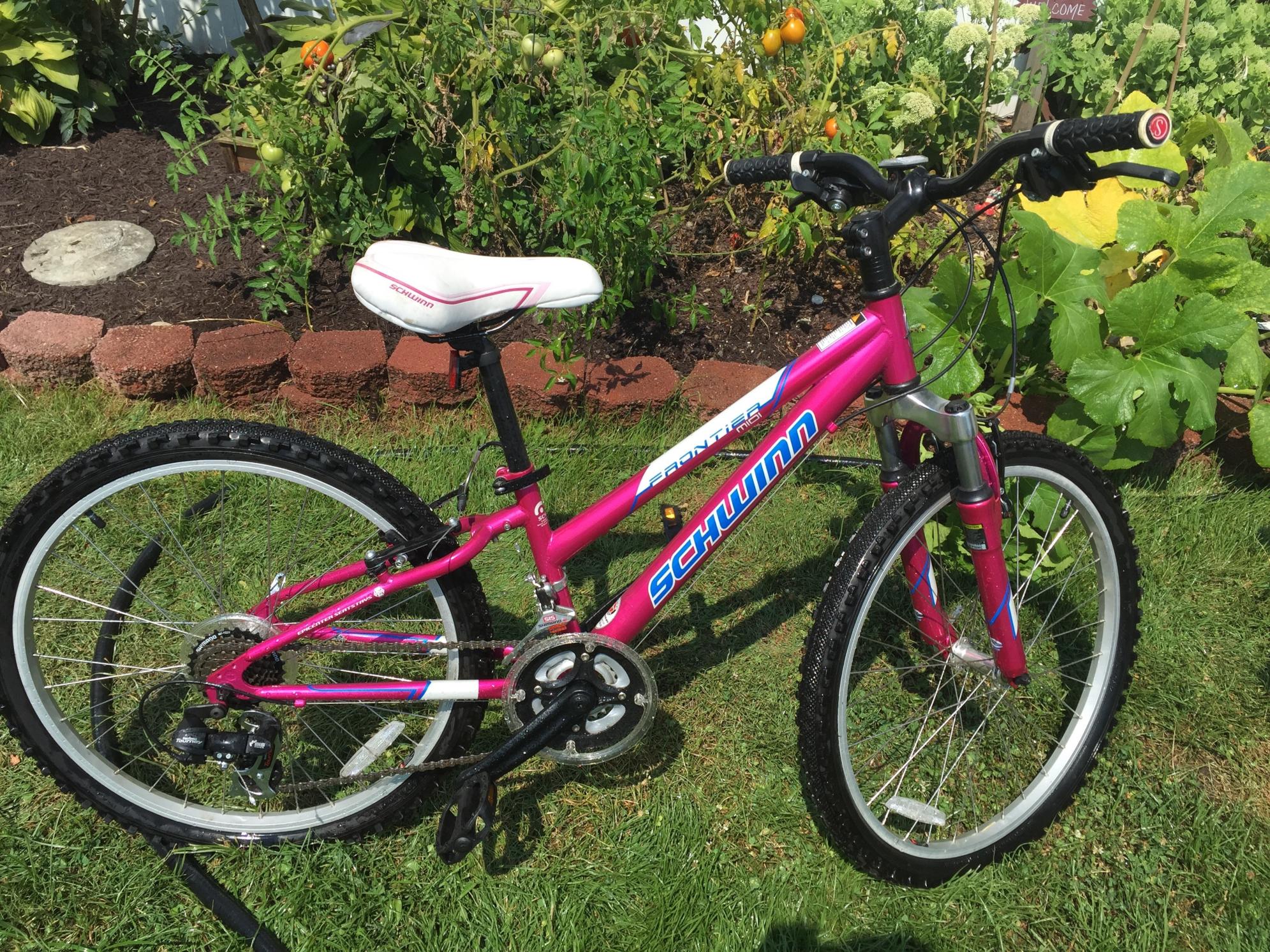 Schwinn Pink