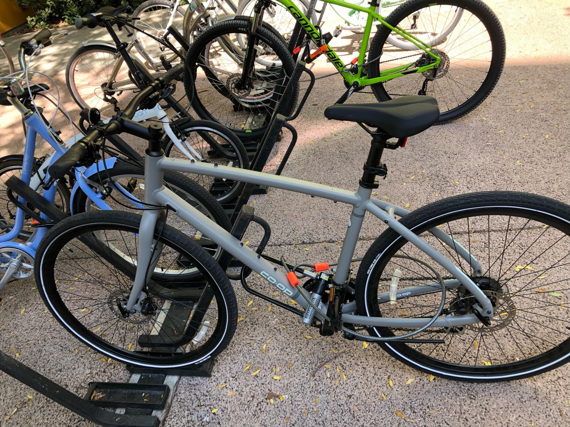 2023 REI Co-op CTY 1.1 Silver, gray or bare metal