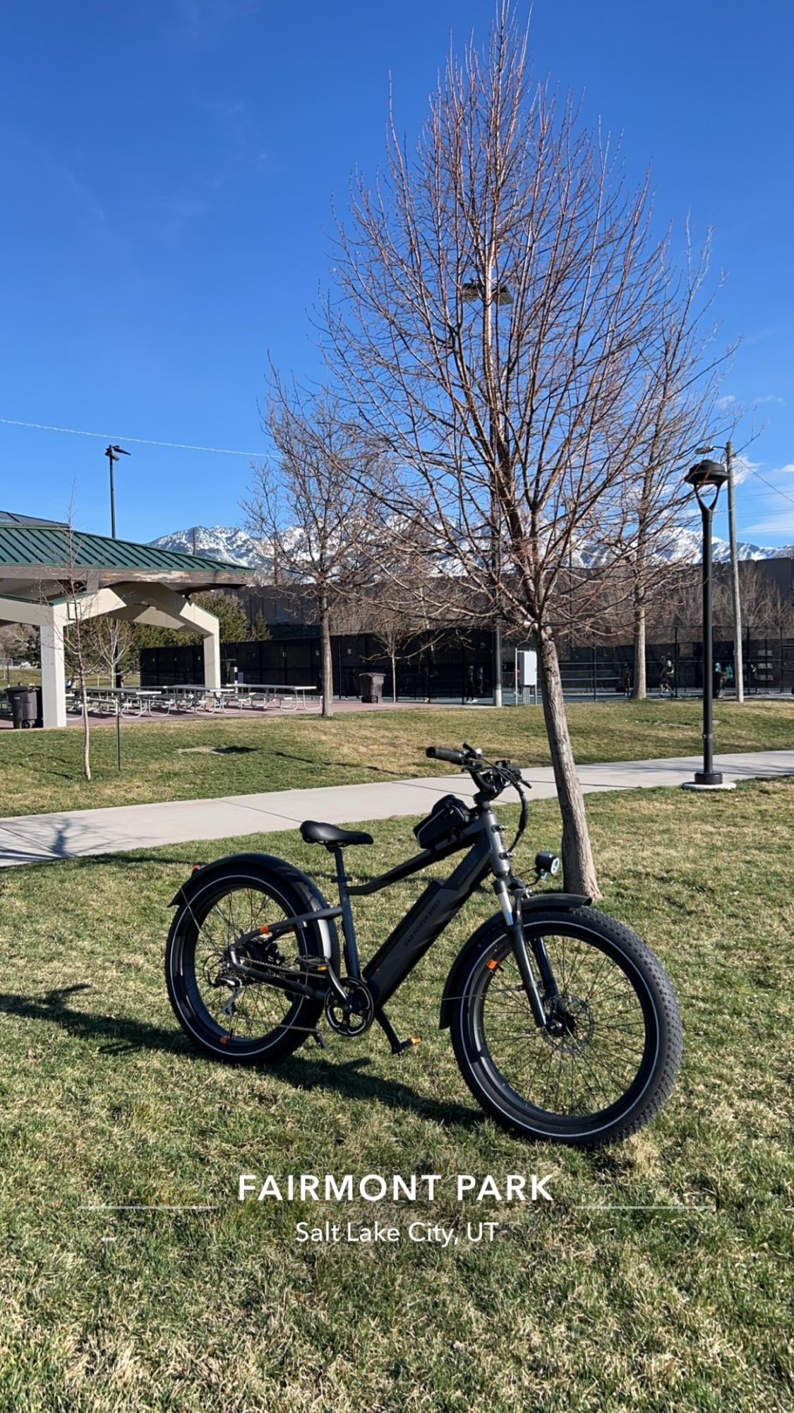 2024 Rad Power Bikes Black