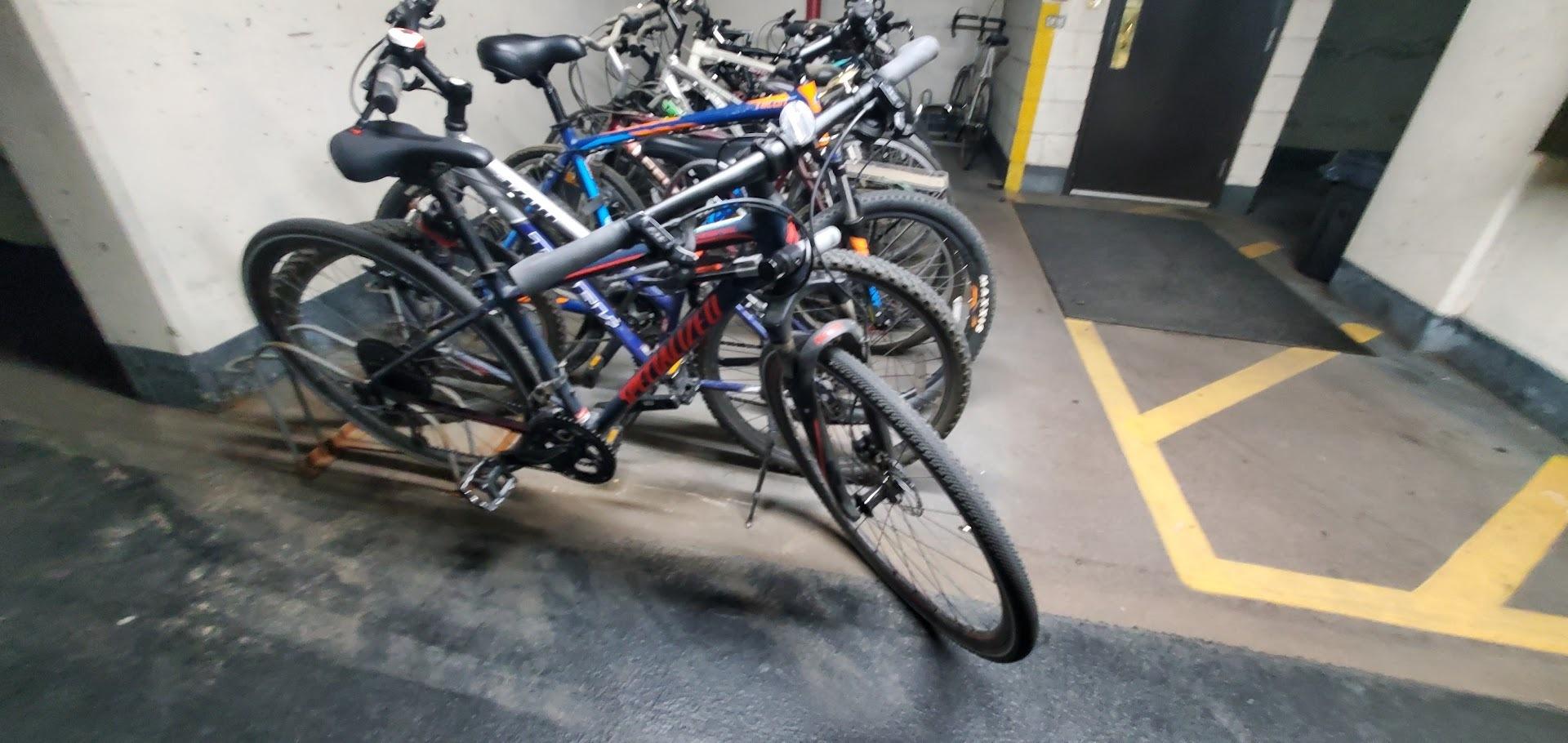 Specialized Blue