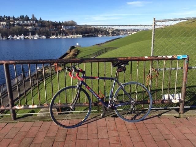 Marinoni Portivo  Blue