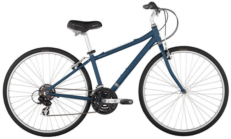 2013 Raleigh Blue