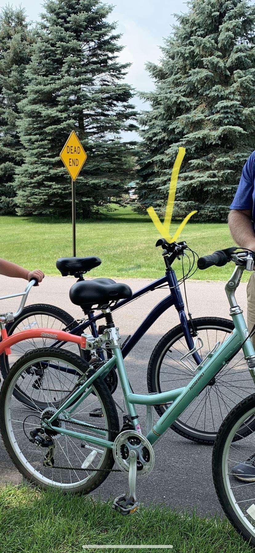 2020 Giant Sedona Blue