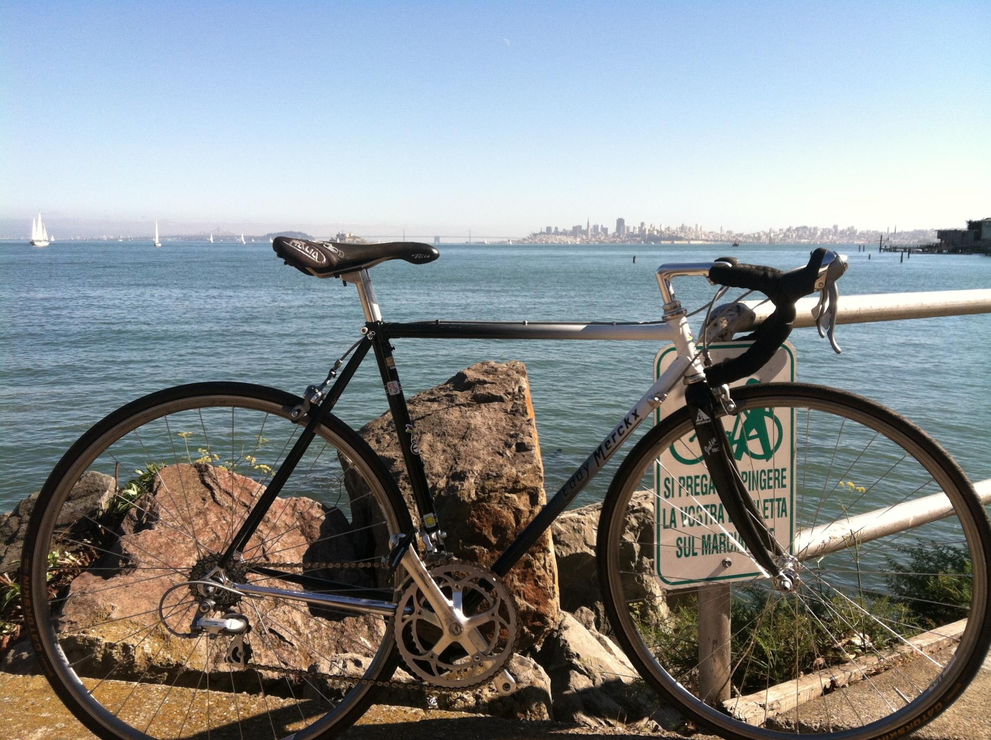 Eddy Merckx Late-80's racer Black, White, and Yellow or Gold