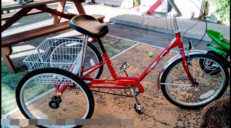 Sun Miami Trike Red