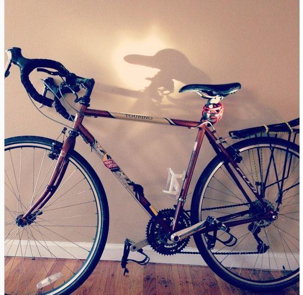 2006 Fuji Touring Brown