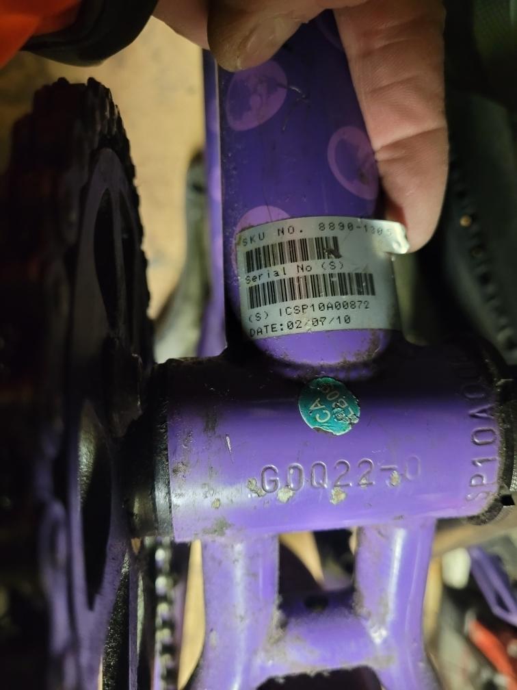 2010 Specialized Purple and Pink