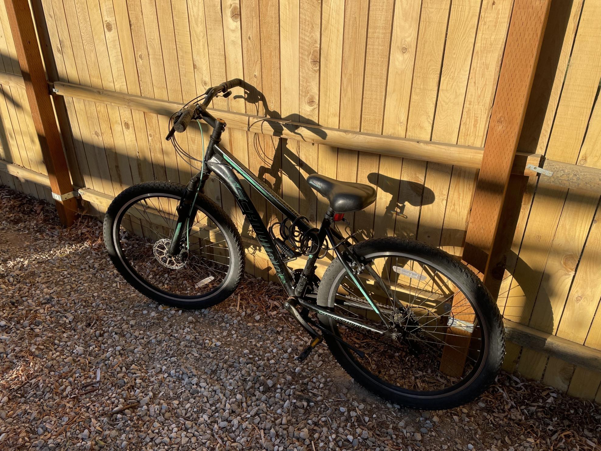Schwinn Black and Green