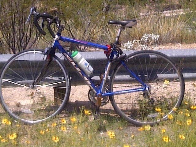 2014 Fuji Newest 3.0  Blue