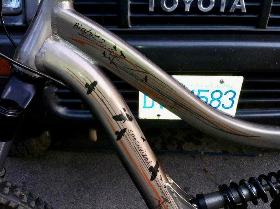 2009 Specialized BigHit FSR II Brown