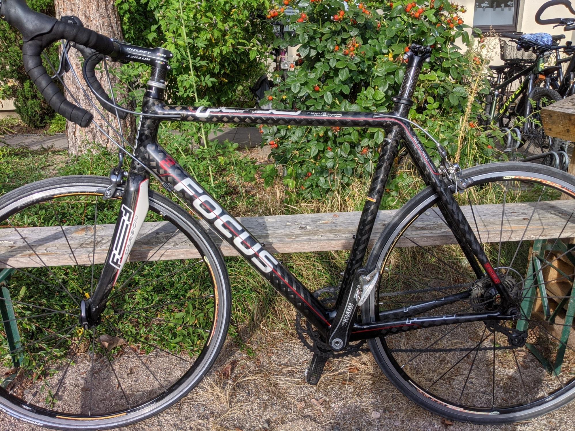 Focus Cayo Carbon Black