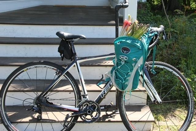 2013 Redline Conquest Pro Black