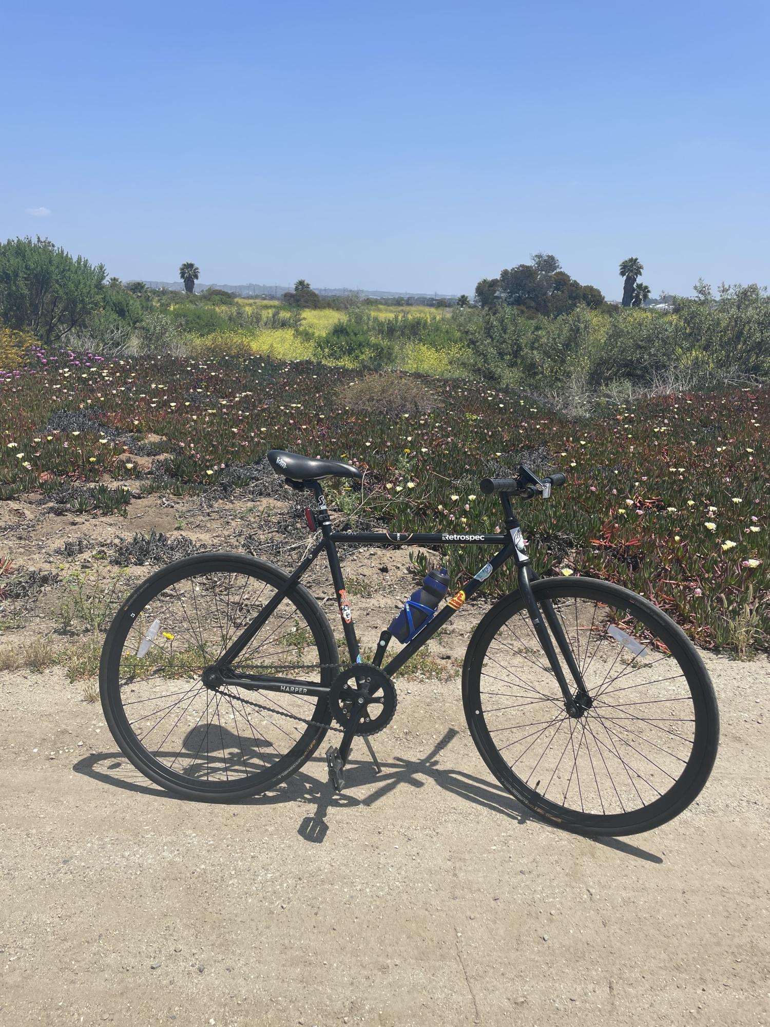 2020 Retrospec Harper Black