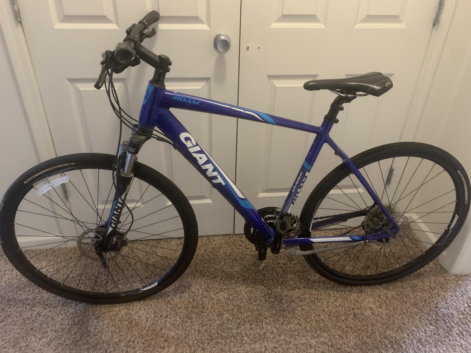 2015 Giant Roam Blue