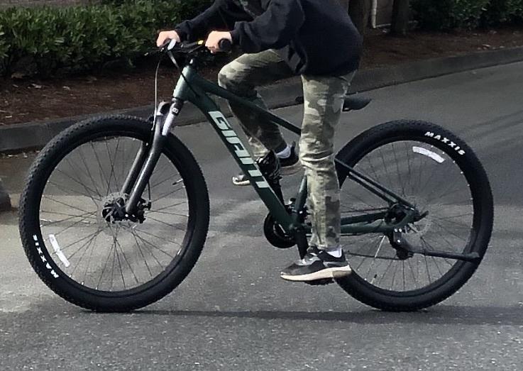 2022 Giant Talon Green