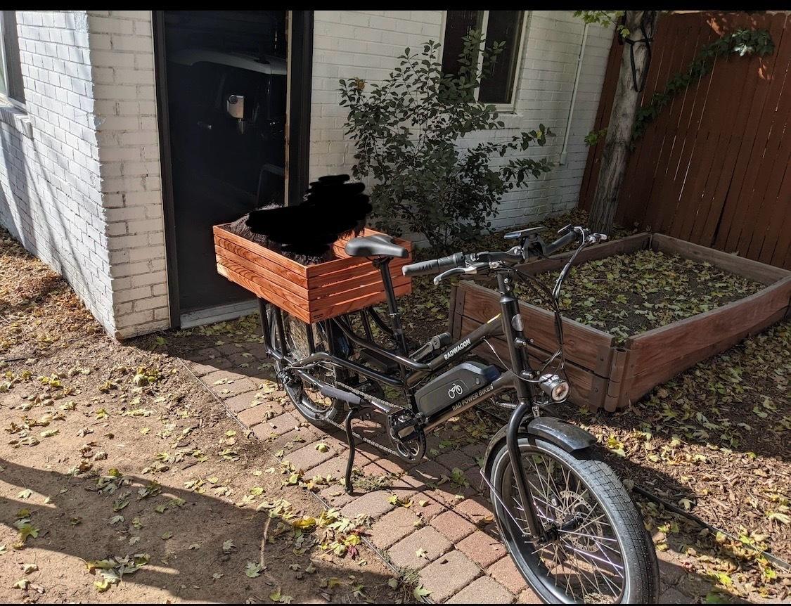 2022 Rad Power Bikes Radwagon 4 Black