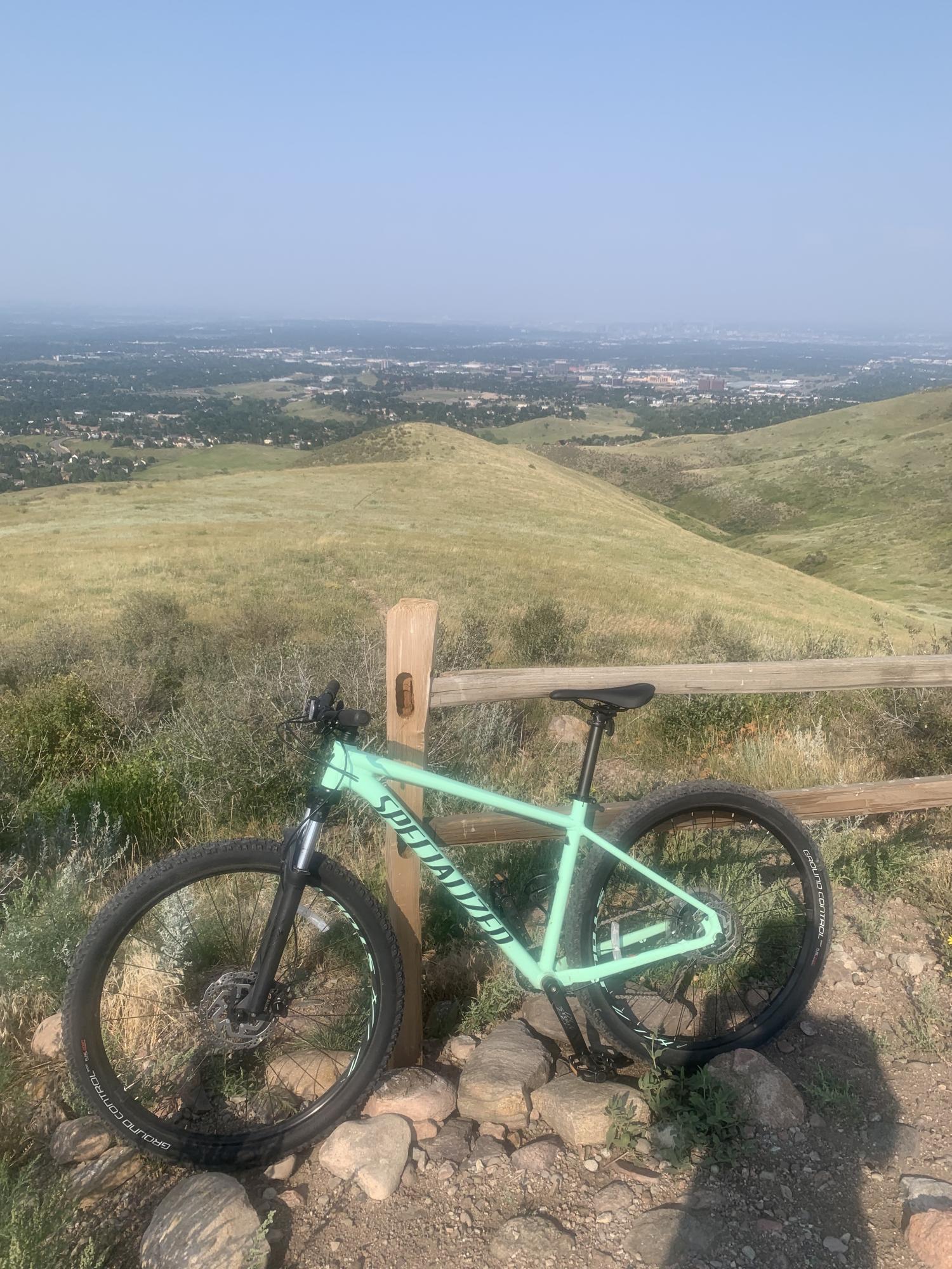2020 Specialized Rockhopper Teal