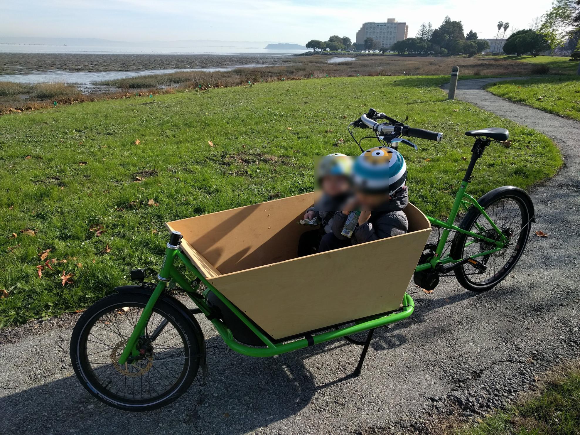 CETMA Cargo Largo cargo bike (front storage) Green
