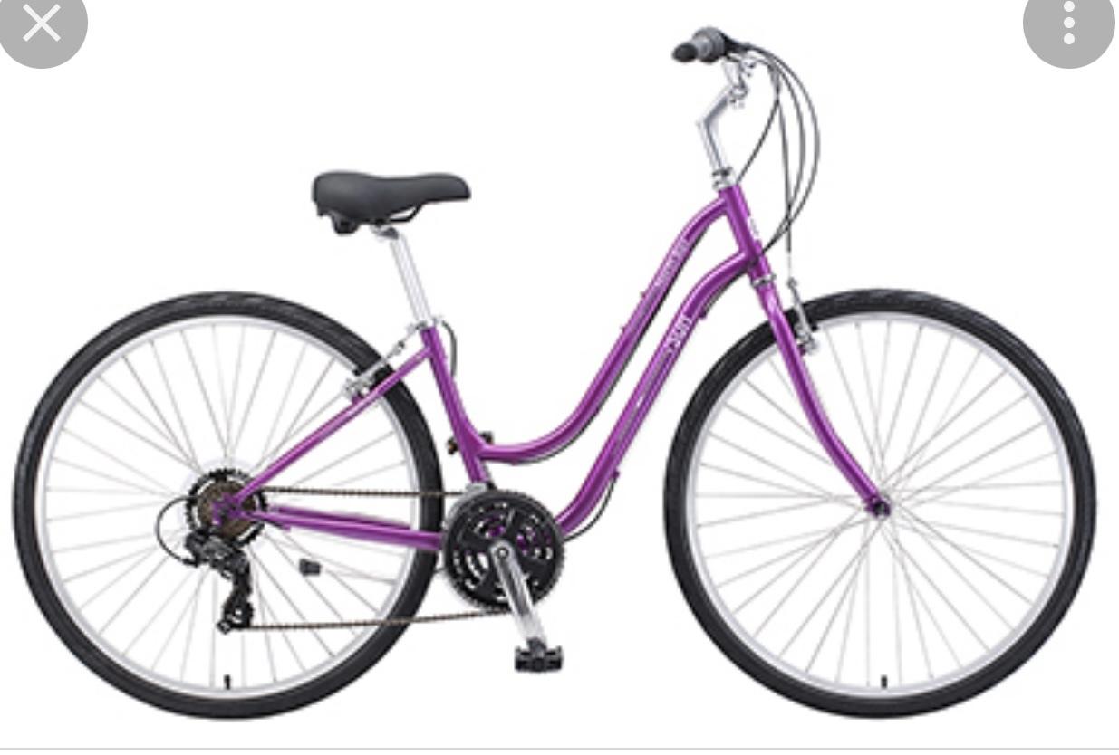 2020 Sun North Bay Purple