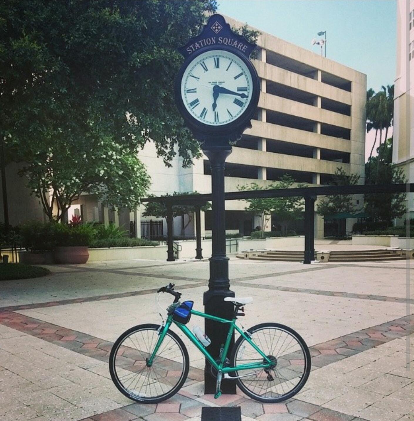 2014 Trek 7.2 FX WSD Green