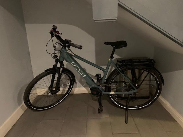 Gazelle Medeo T10+ Blue
