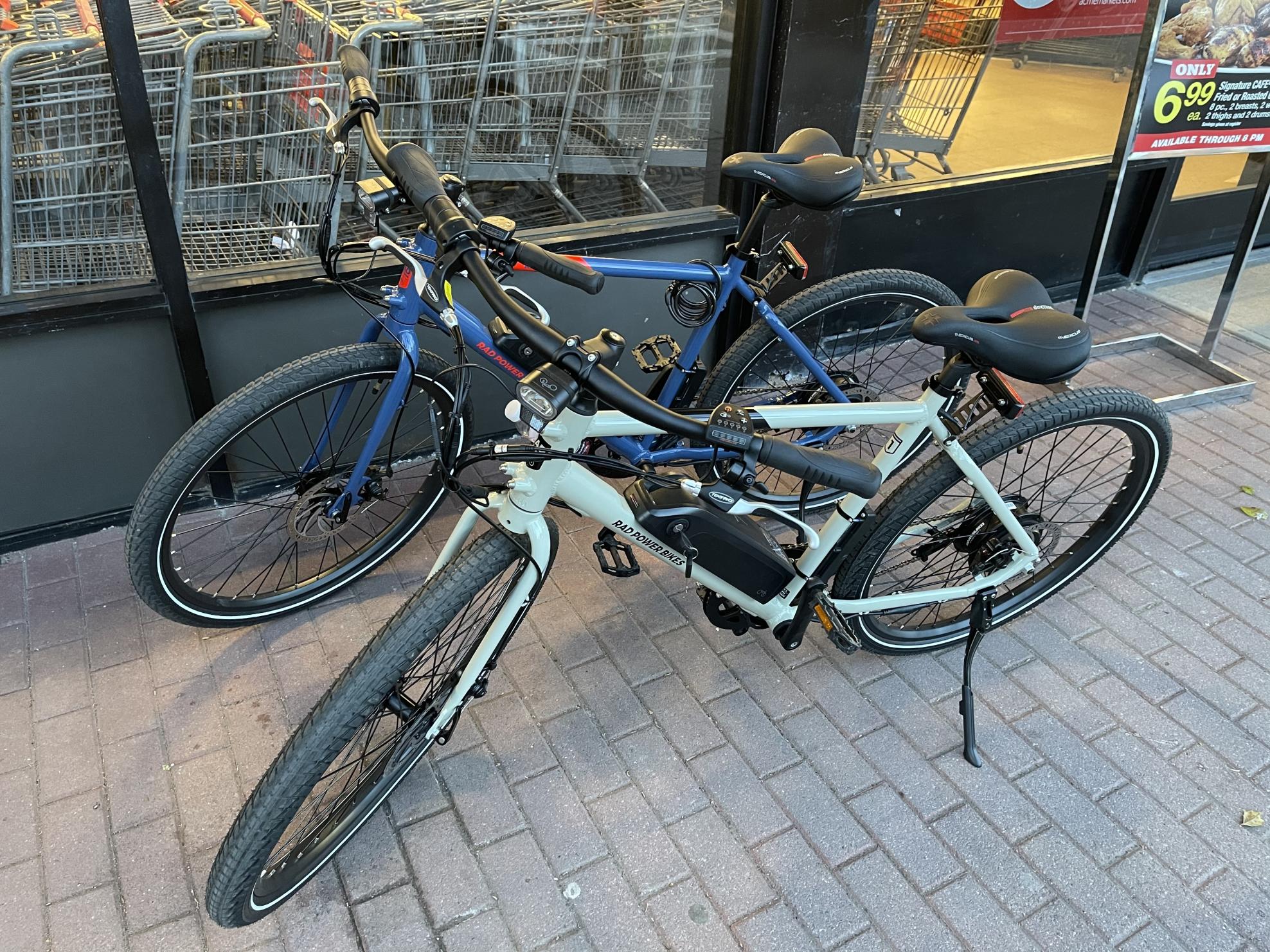 2021 Rad Power Bikes RadMission 1 Silver, gray or bare metal