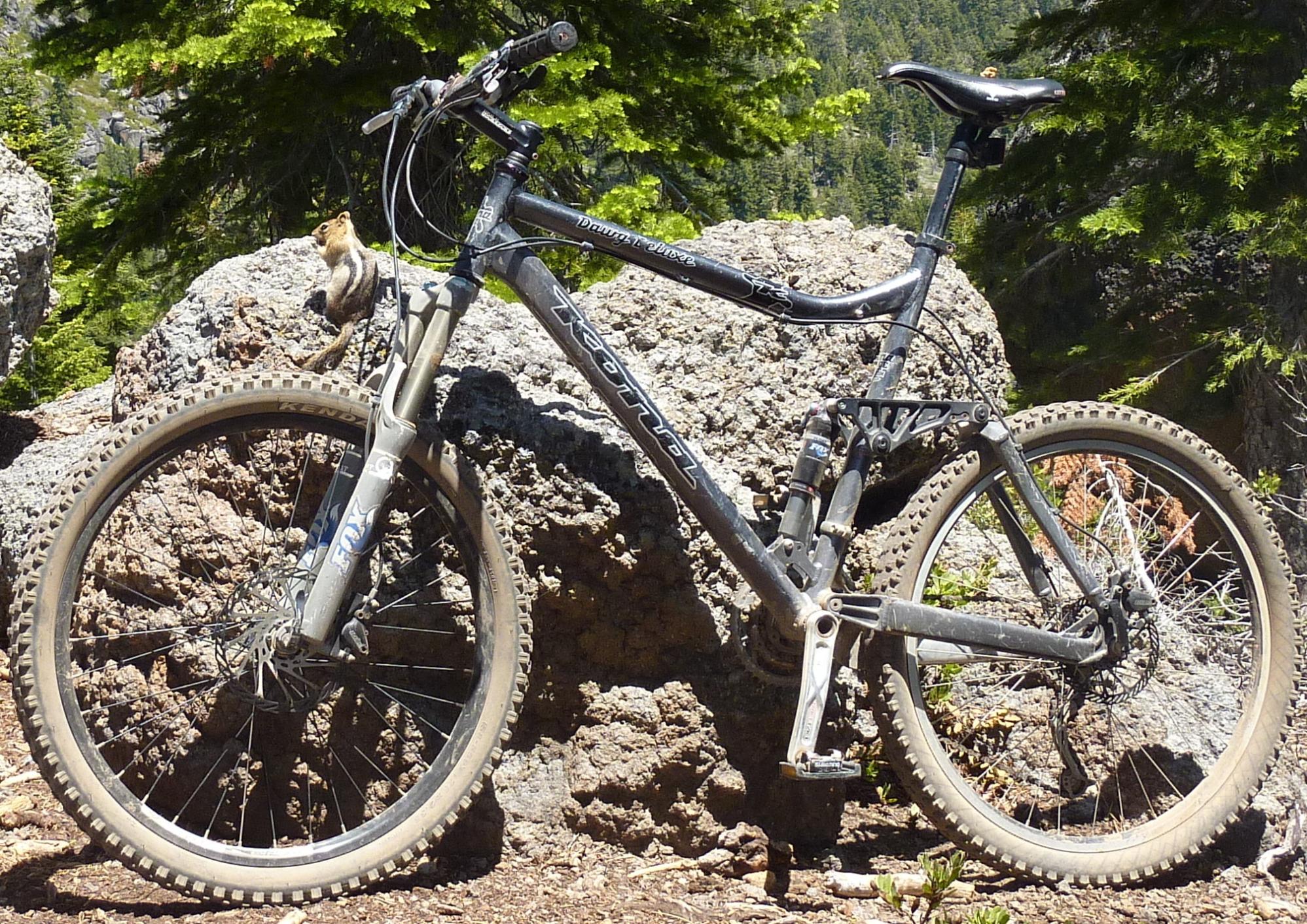 2009 Kona Silver or Gray