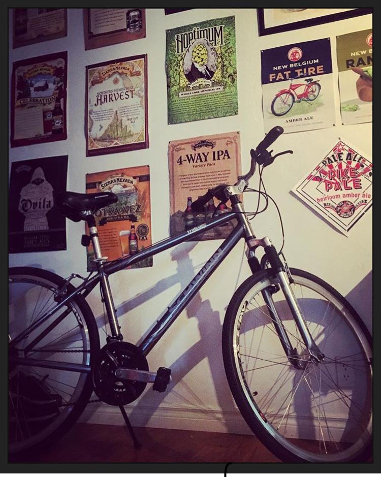 Schwinn Trailway Silver or Gray
