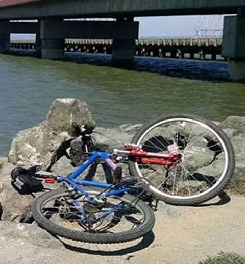 2000 Rocky Mountain Bicycles Vapor Blue and Red