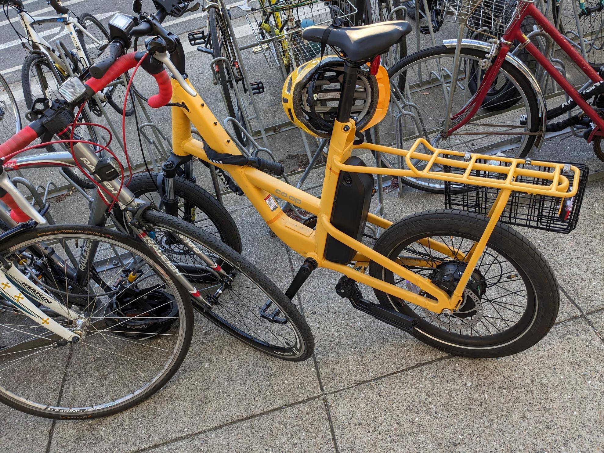 REI Co-op Generation Yellow or Gold