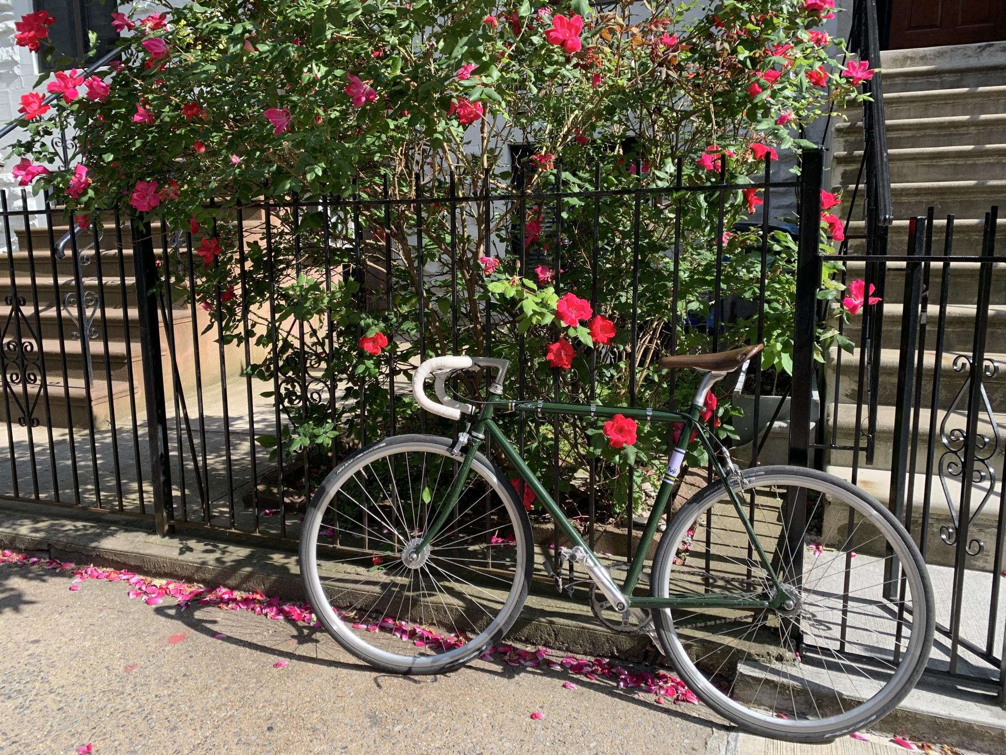 2016 Fuji Feather Green