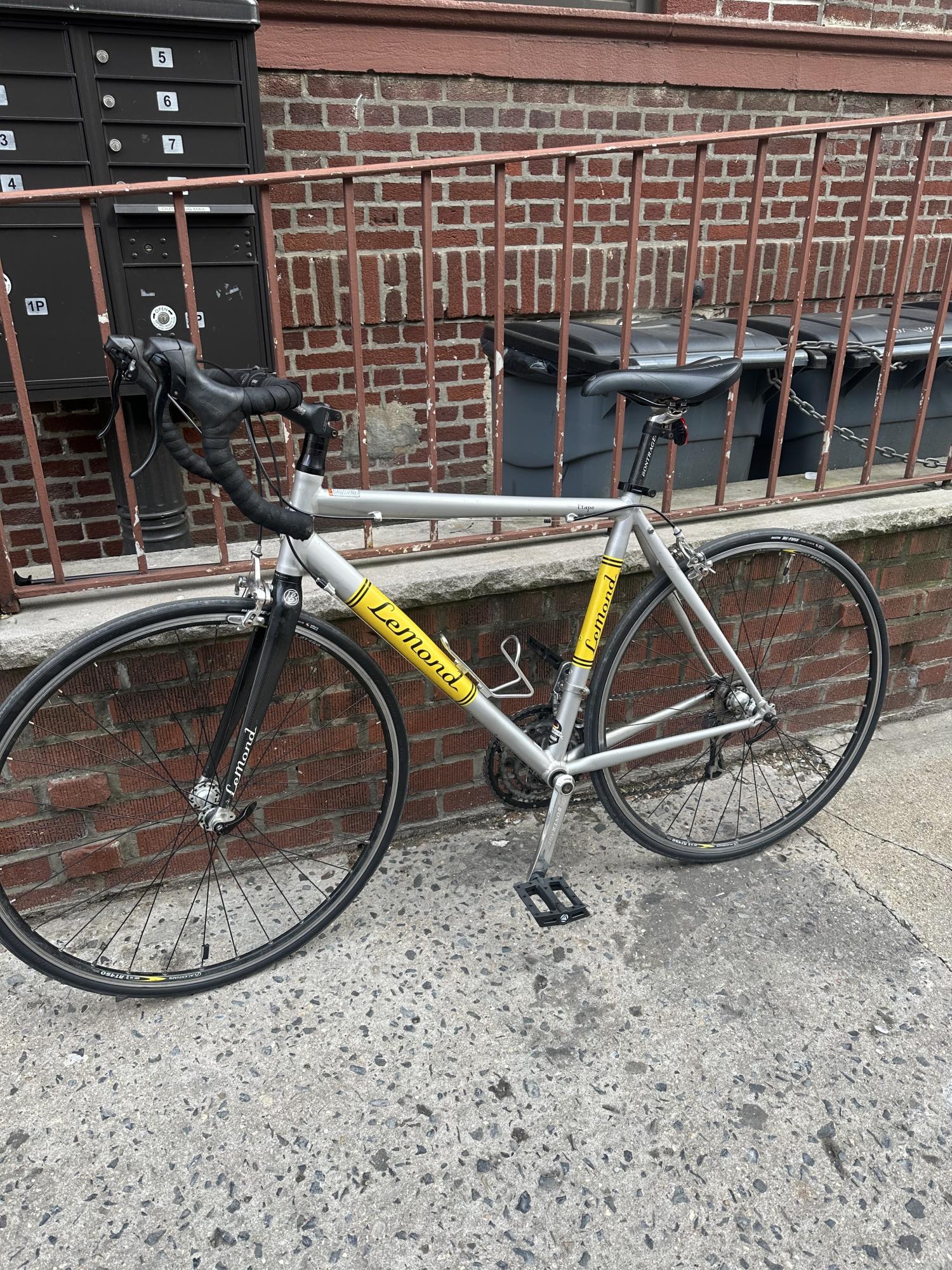 LeMond Silver, gray or bare metal