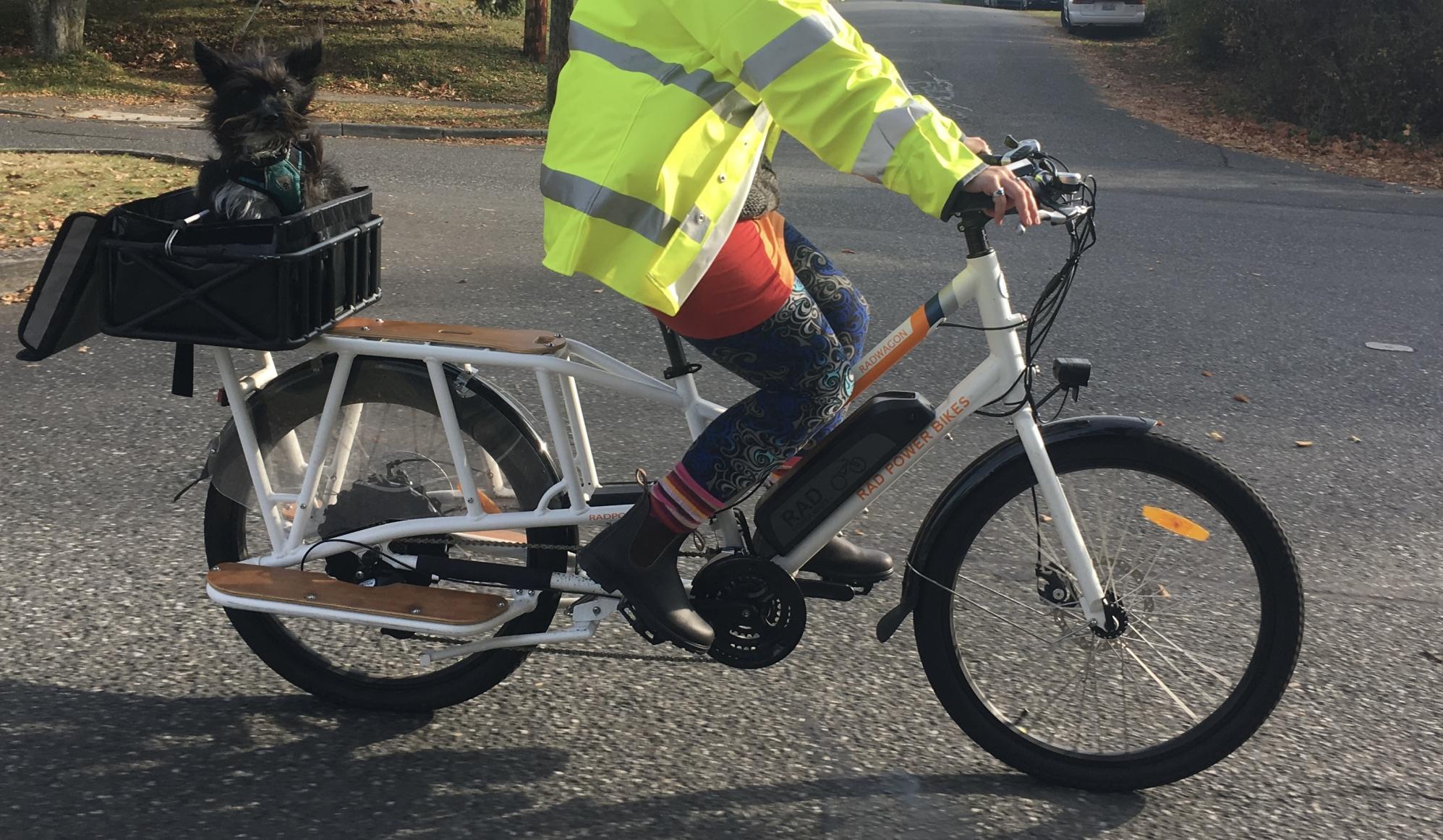 2018 Rad Power Bikes Radwagon White