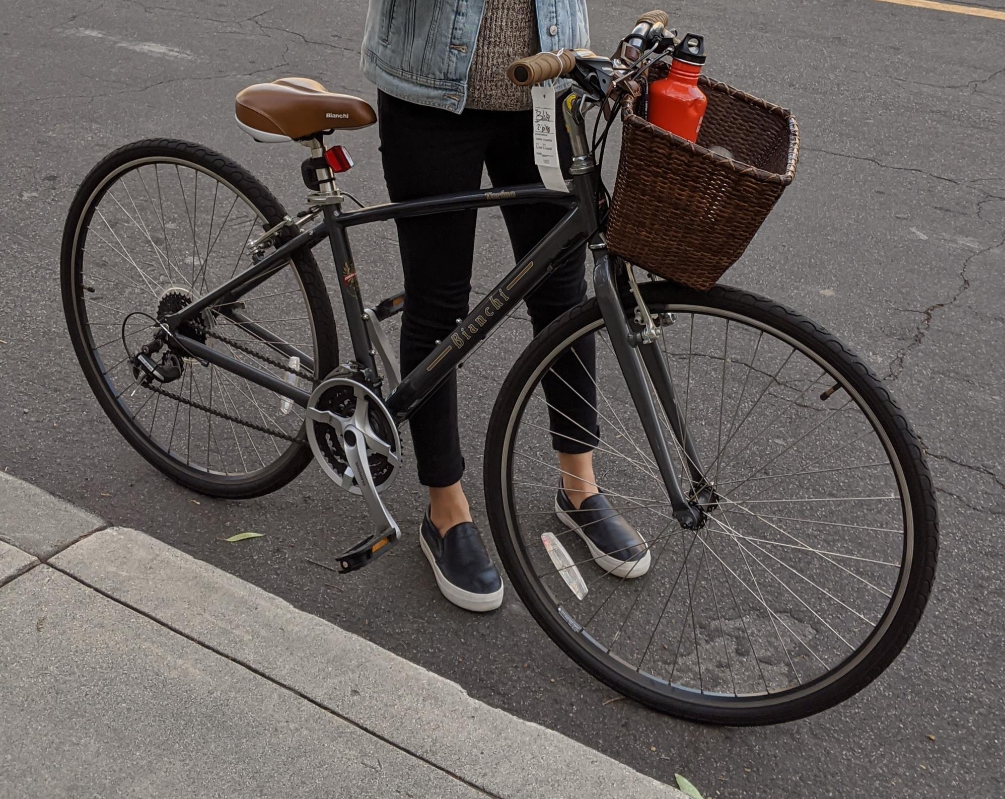 Bianchi Torino Silver, gray or bare metal