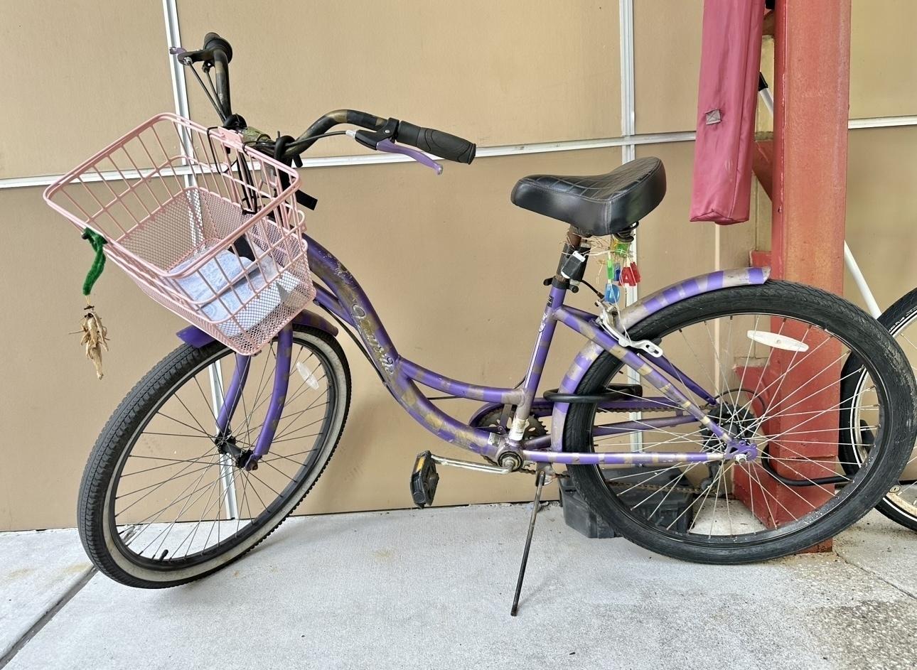 2017 Kent Cruiser Purple and Yellow or Gold