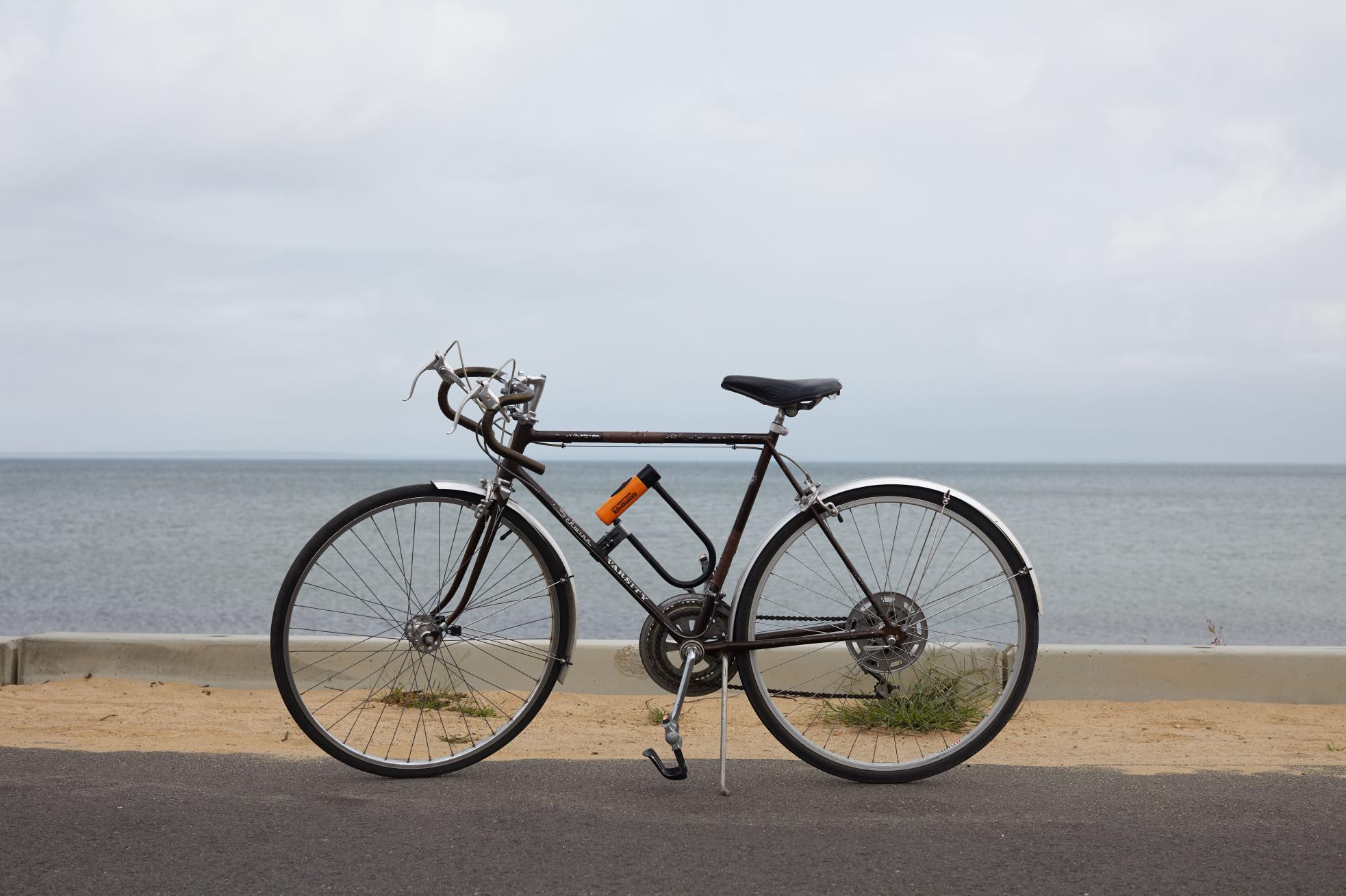 1970 Schwinn Varsity Brown and White