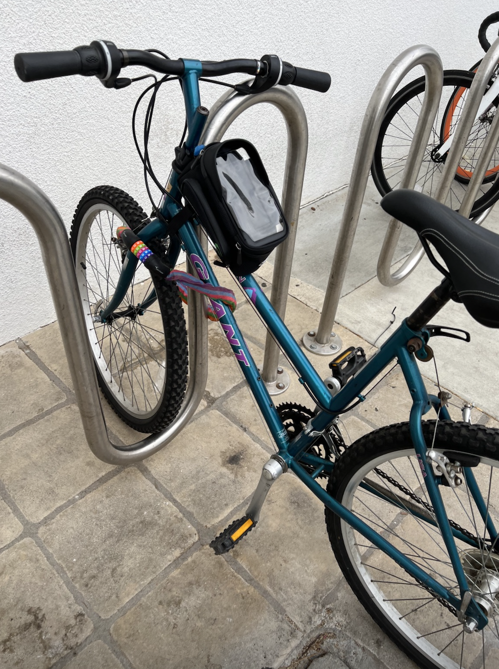 Giant Ladies - small Teal and Purple