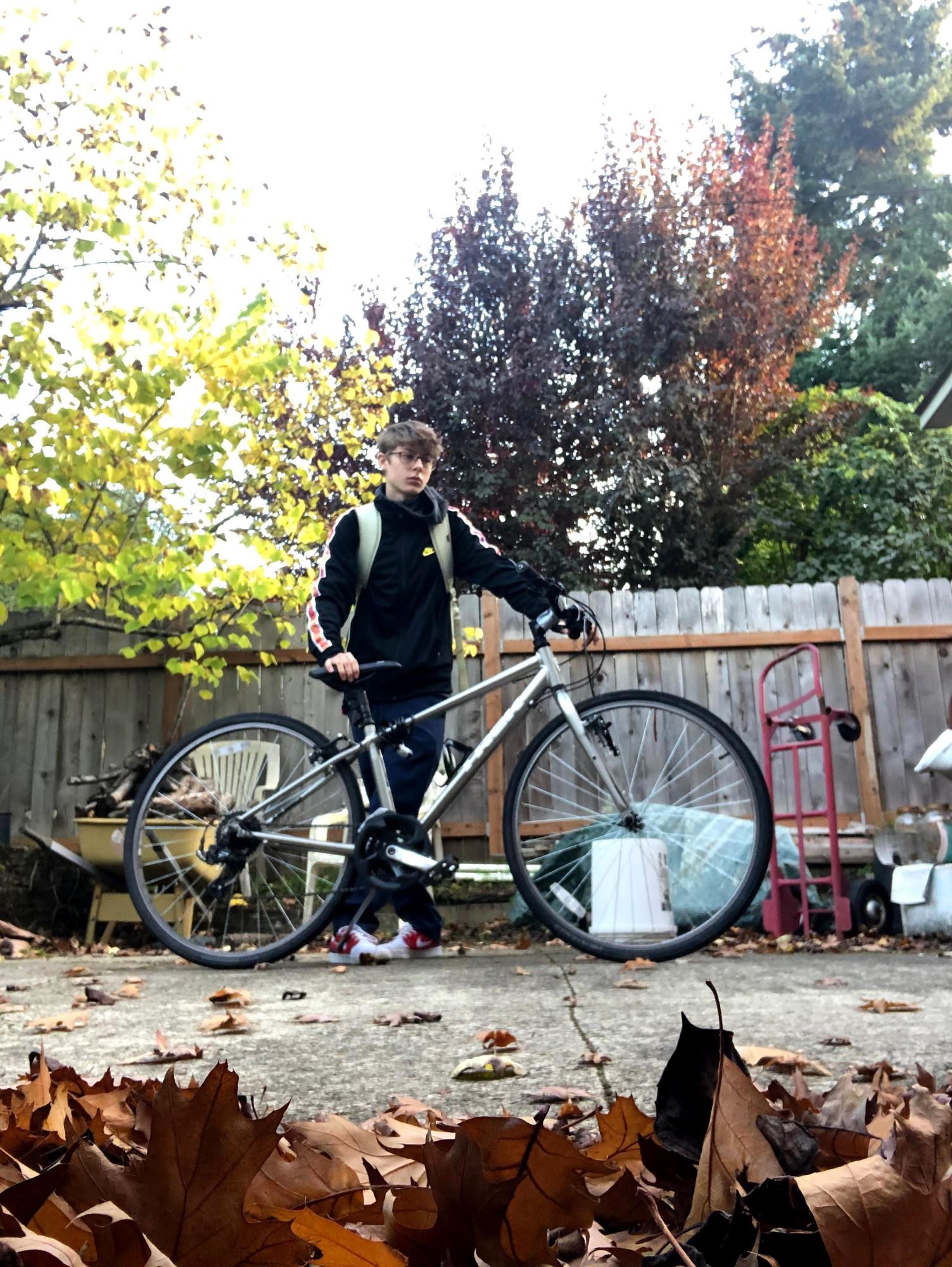 2023 Trek Silver, gray or bare metal