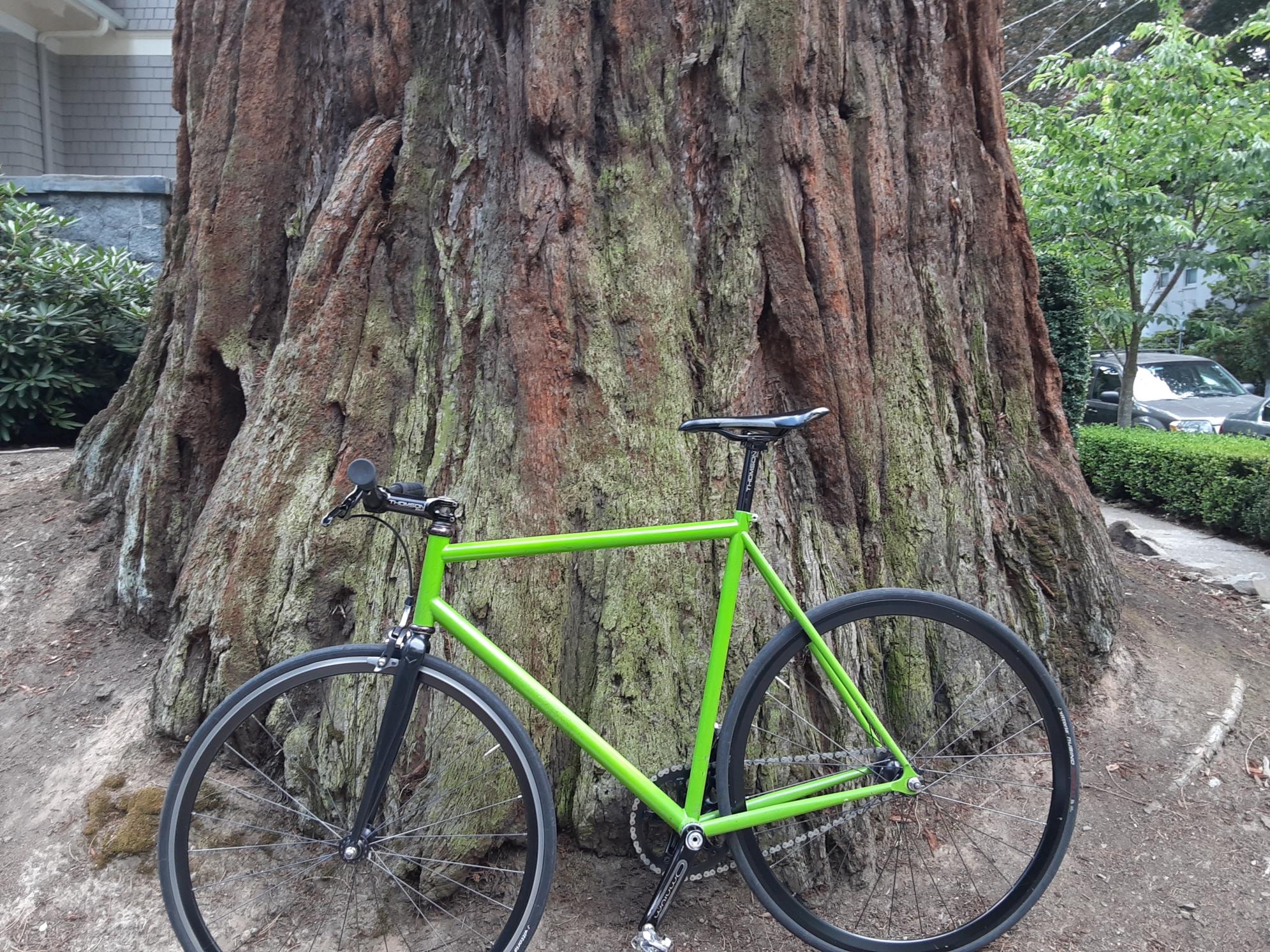 2014 Bare Knuckle Bare Knuckle Green