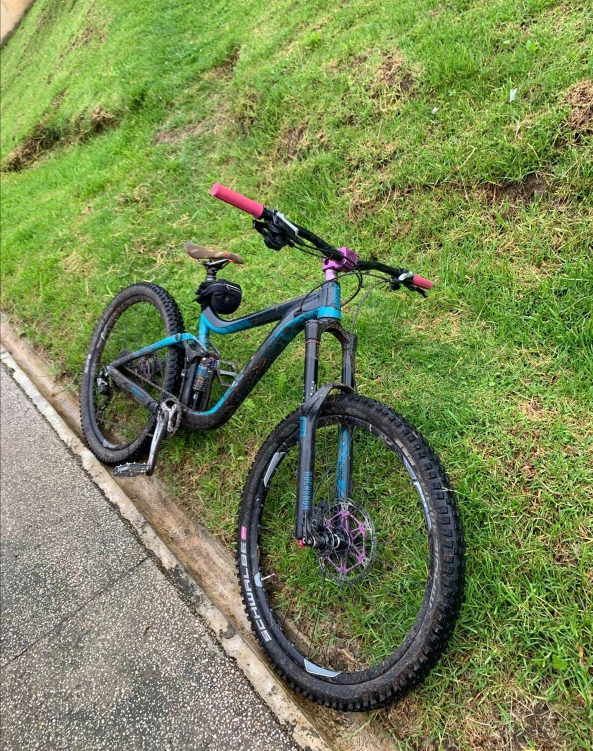 2016 Giant Reign 2 Blue and Blue