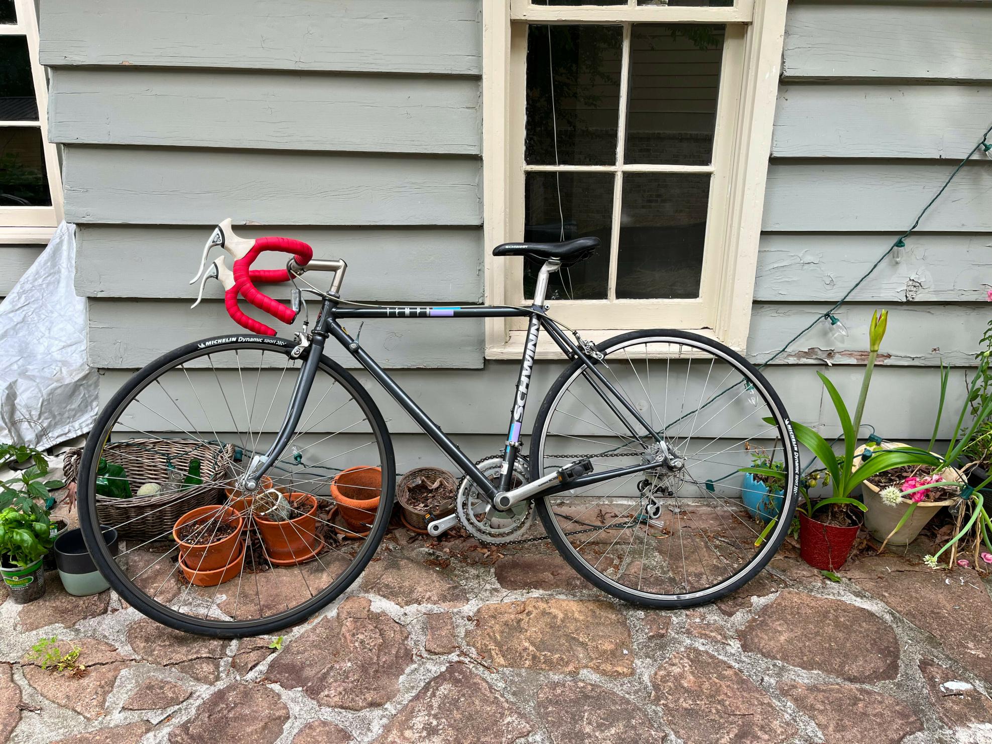 Schwinn Tempo Black and Purple